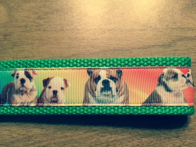 Bulldog Rainbow Keychain/ Keyfob/ Wristlet