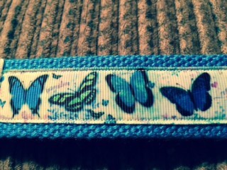 Blue Butterfly Parade Cotton Webbing Keychain/ Wristlet/ Keyfob