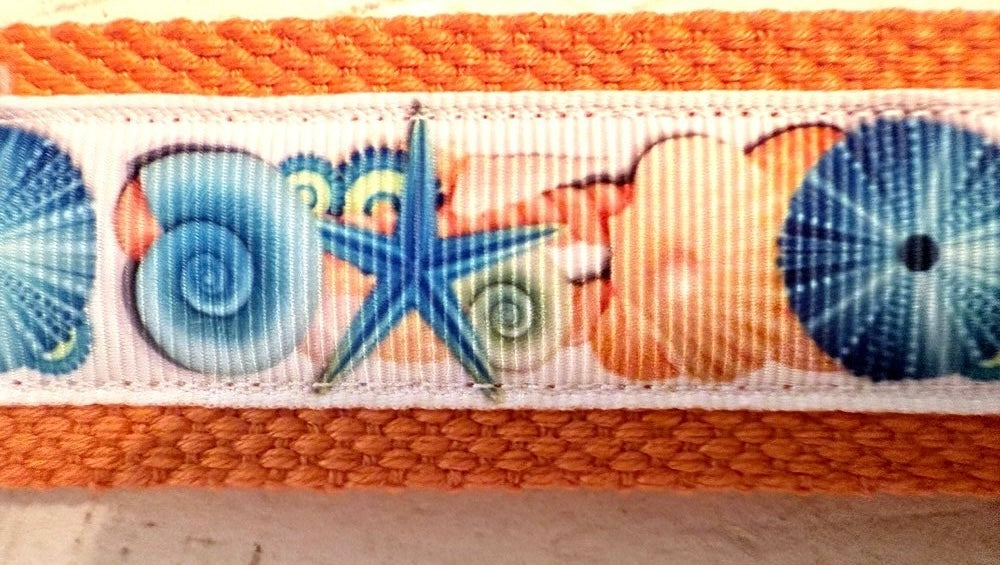 Orange and Blue Starfish and Sanddollar Cotton Webbing Keychain/Keyfob/Wristlet