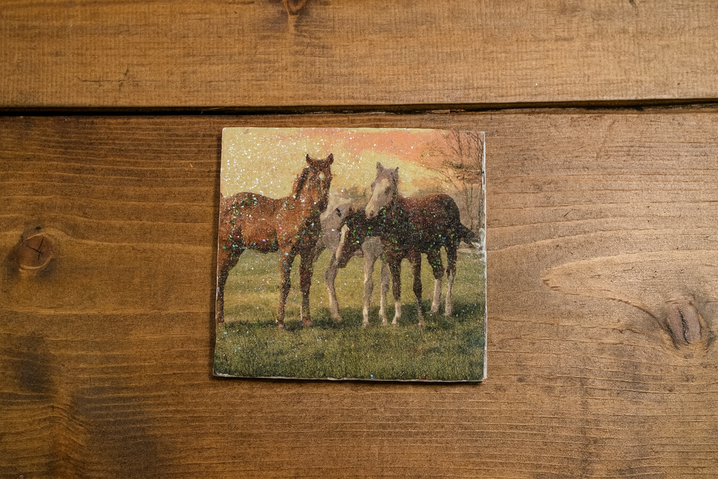 🐴 Glitter Horse Coaster Set – Rustic Country Farmhouse Decor (Set of 4)