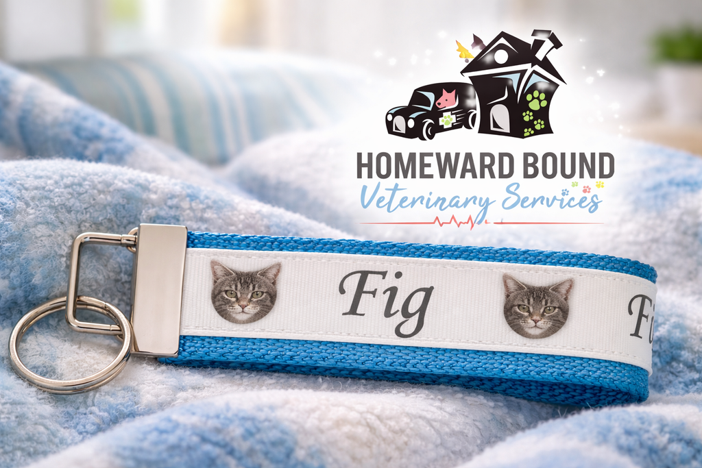 🐾 Fig the Clinic Cat Keychain Wristlet – Support the Angel Fund | Homeward Bound Veterinary Services