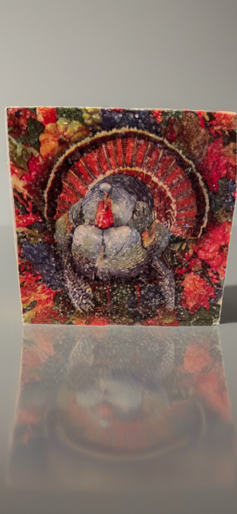 🦃 Thanksgiving Turkey Coaster Set (4) – Handmade, Water-Resistant, Gift-Ready