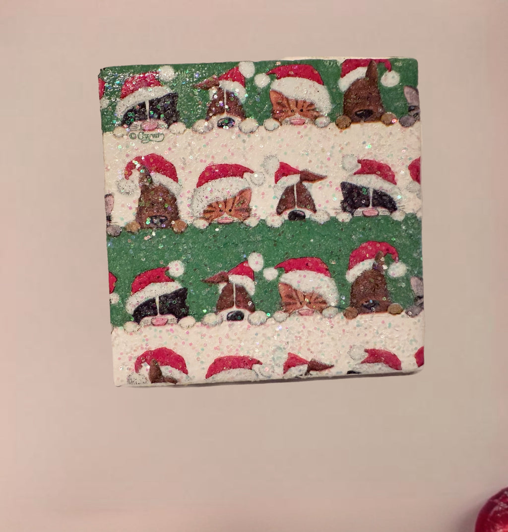 🎄 Holiday Pet Coaster Set – Santa Paws Dogs & Cats – Glittery Christmas Decor
