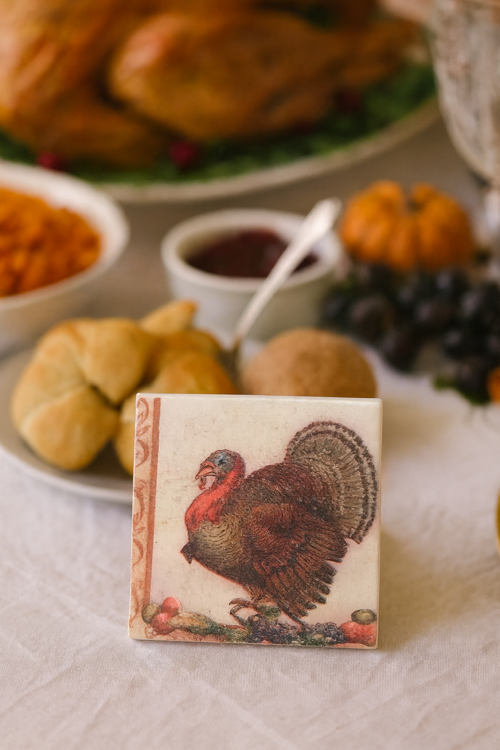Thanksgiving Turkey Coaster Set – Festive Fall Décor for Your Holiday Table