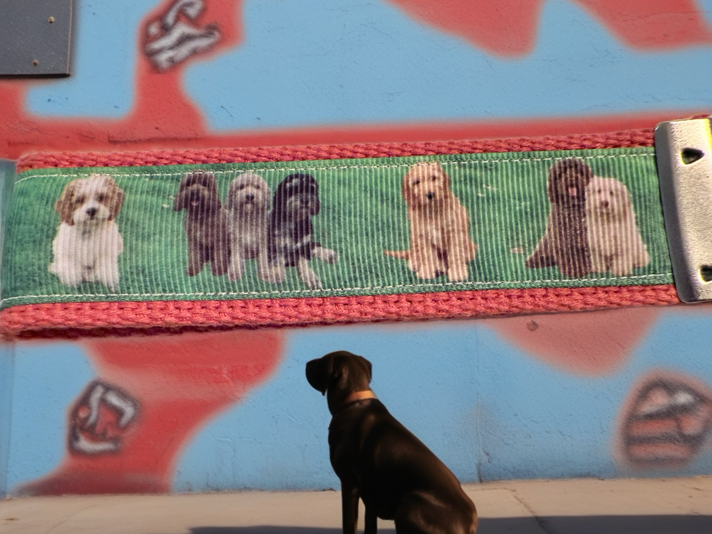 Doodle Dog Keychain Wristlet – Cute & Durable Gift for Dog Lovers