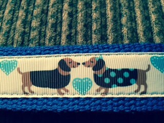 Blue and White Duchshund Love Cotton Webbing Keychain/ Keyfob/ Wristlet
